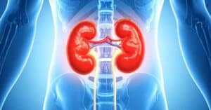 The Kidney Connection Can Kidney Problems Cause High Blood Pressure
